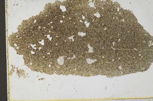 Plane Polarized, S37431