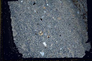 Cross Polarized, S37432