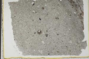 Plane Polarized, S37432