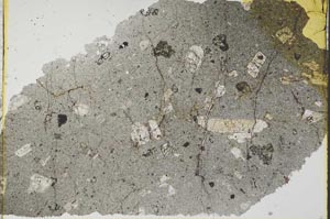 Plane Polarized, S37433