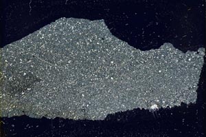 Cross Polarized, S37434