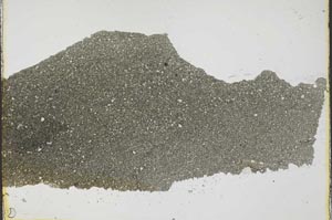 Plane Polarized, S37434