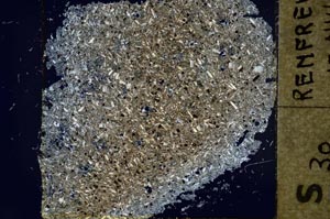 Cross Polarized, S37435