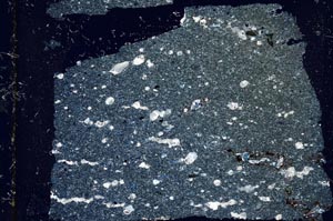 Cross Polarized, S37437