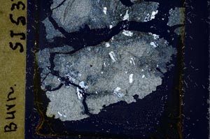 Cross Polarized, S37438
