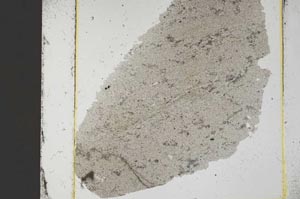 Plane Polarized, S37440