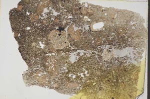 Plane Polarized, S37441