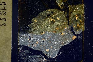 Cross Polarized, S37442
