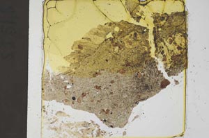 Plane Polarized, S37442