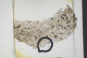 Plane Polarized, S37448