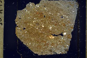 Cross Polarized, S37454