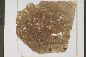 Plane Polarized, S37454
