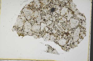 Plane Polarized, S37458