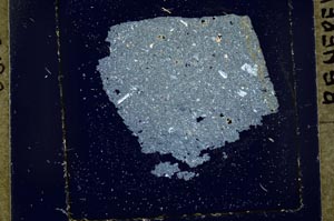 Cross Polarized, S37459