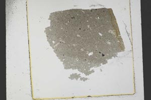 Plane Polarized, S37459