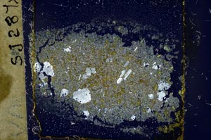 Cross Polarized, S37463