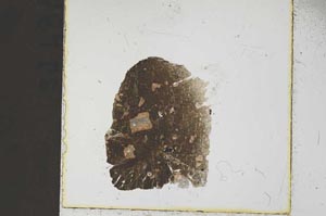 Plane Polarized, S37471