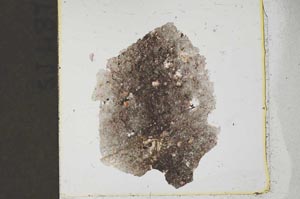 Plane Polarized, S37472