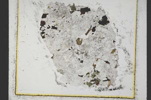 Plane Polarized, S37488