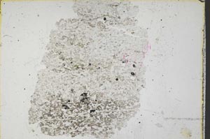 Plane Polarized, S37533