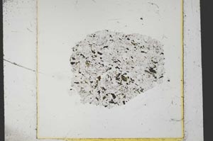 Plane Polarized, S37573