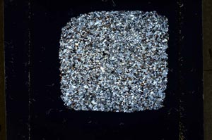 Cross Polarized, S37575