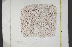 Plane Polarized, S37575