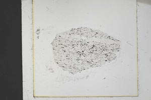 Plane Polarized, S37578