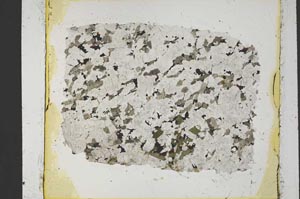 Plane Polarized, S37585