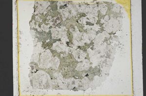 Plane Polarized, S37587