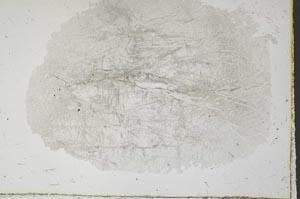 Plane Polarized, S37594