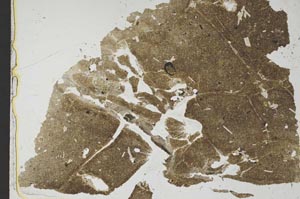 Plane Polarized, S37605