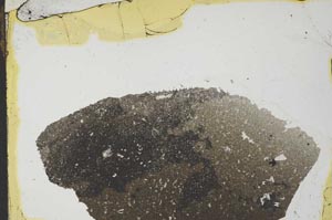 Plane Polarized, S37613