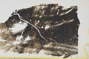 Plane Polarized, S37615