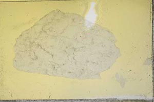 Plane Polarized, S37618