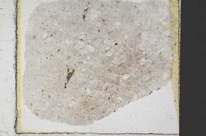 Plane Polarized, S37625