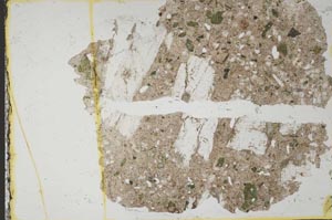Plane Polarized, S37648