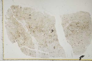 Plane Polarized, S37660