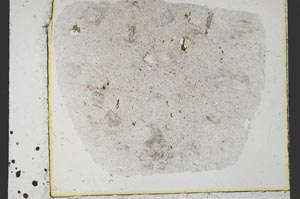 Plane Polarized, S37664