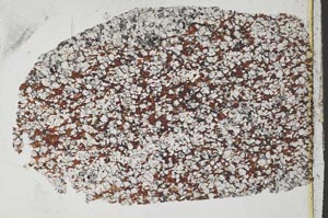 Plane Polarized, S37685