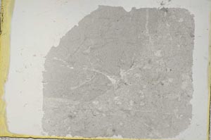 Plane Polarized, S37687