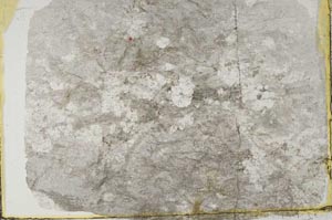 Plane Polarized, S37689