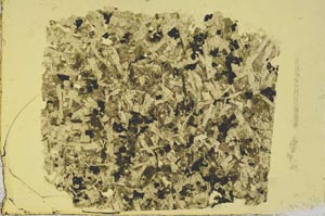 Plane Polarized, S37712