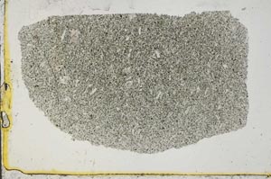 Plane Polarized, S37717