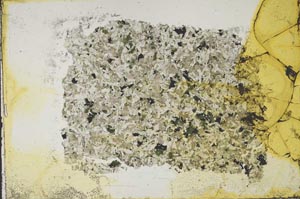 Plane Polarized, S37757