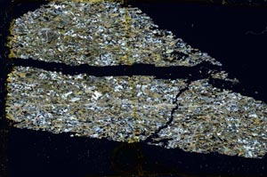 Cross Polarized, S37764