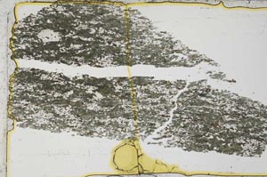 Plane Polarized, S37764