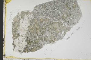 Plane Polarized, S37765