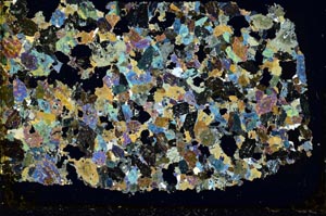 Cross Polarized, S37766