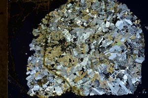 Cross Polarized, S37767